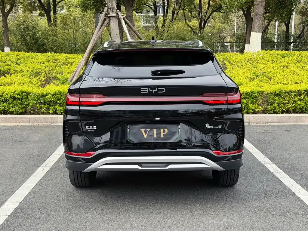 BYD PLUS New Energy — фото 3