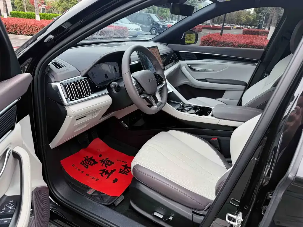BYD PLUS New Energy — фото 2