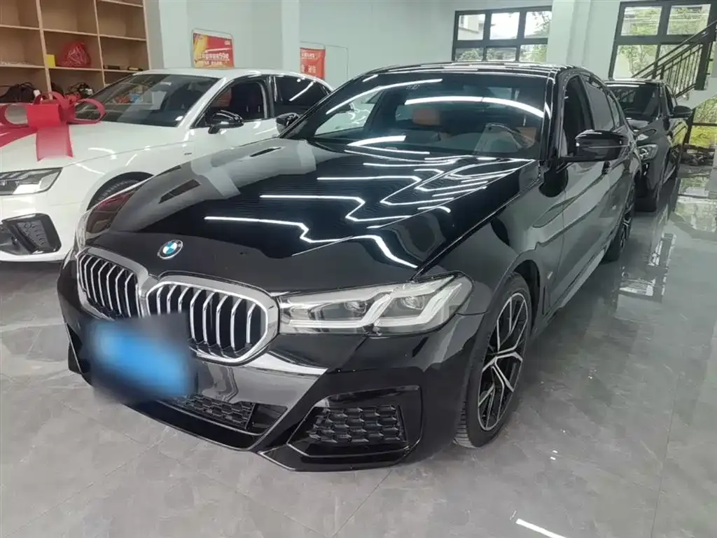 BMW 5 Series (Import) — фото 10
