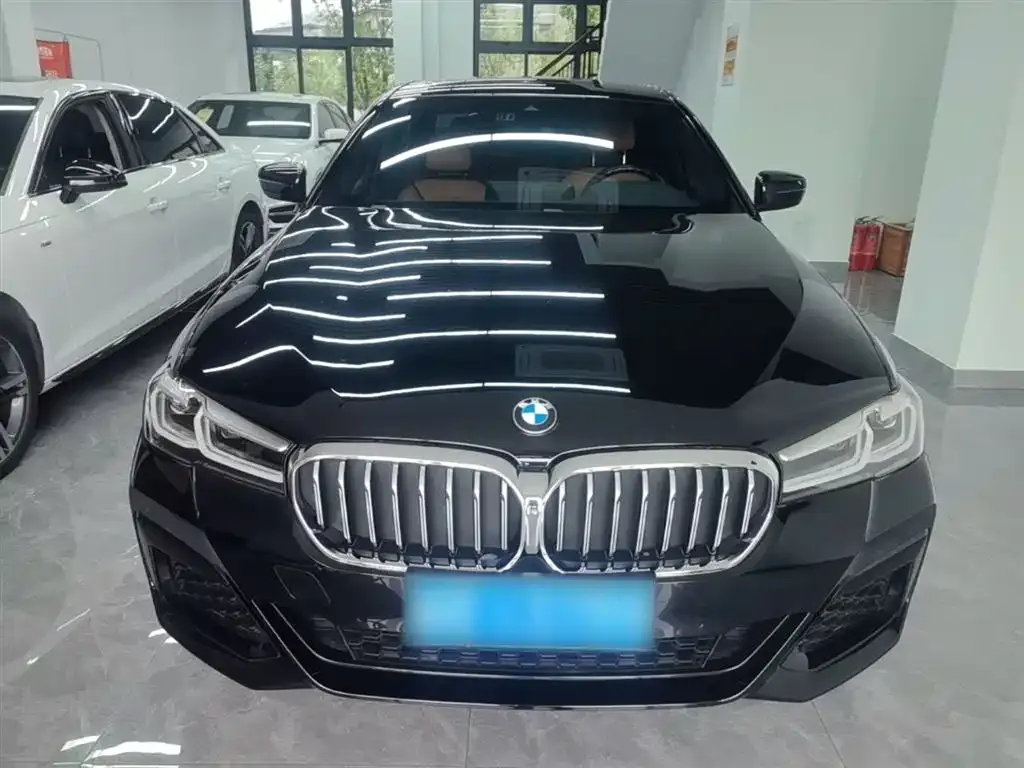 BMW 5 Series (Import) — фото 6