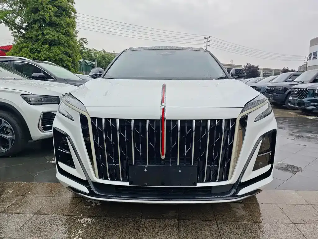 Hongqi HS3 2024 из CN, фото 5