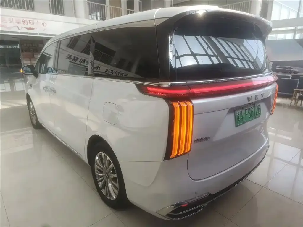 Wey Gaoshan 2023 из CN, фото 7