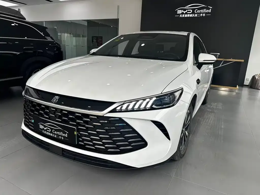 BYD Qin PLUS — фото 1