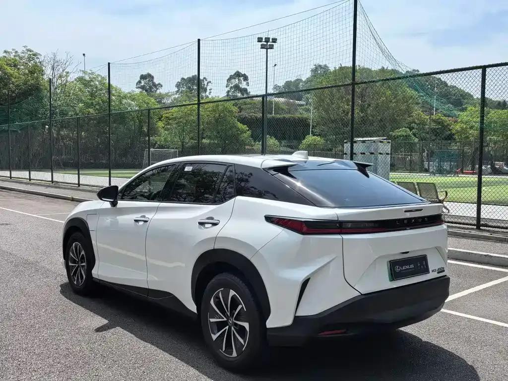 Lexus RZ 2023 из CN, фото 8