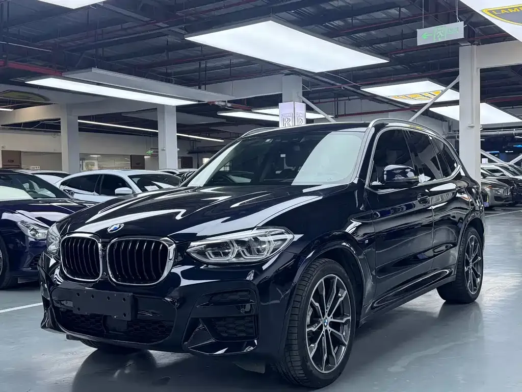 BMW X3 — фото 1