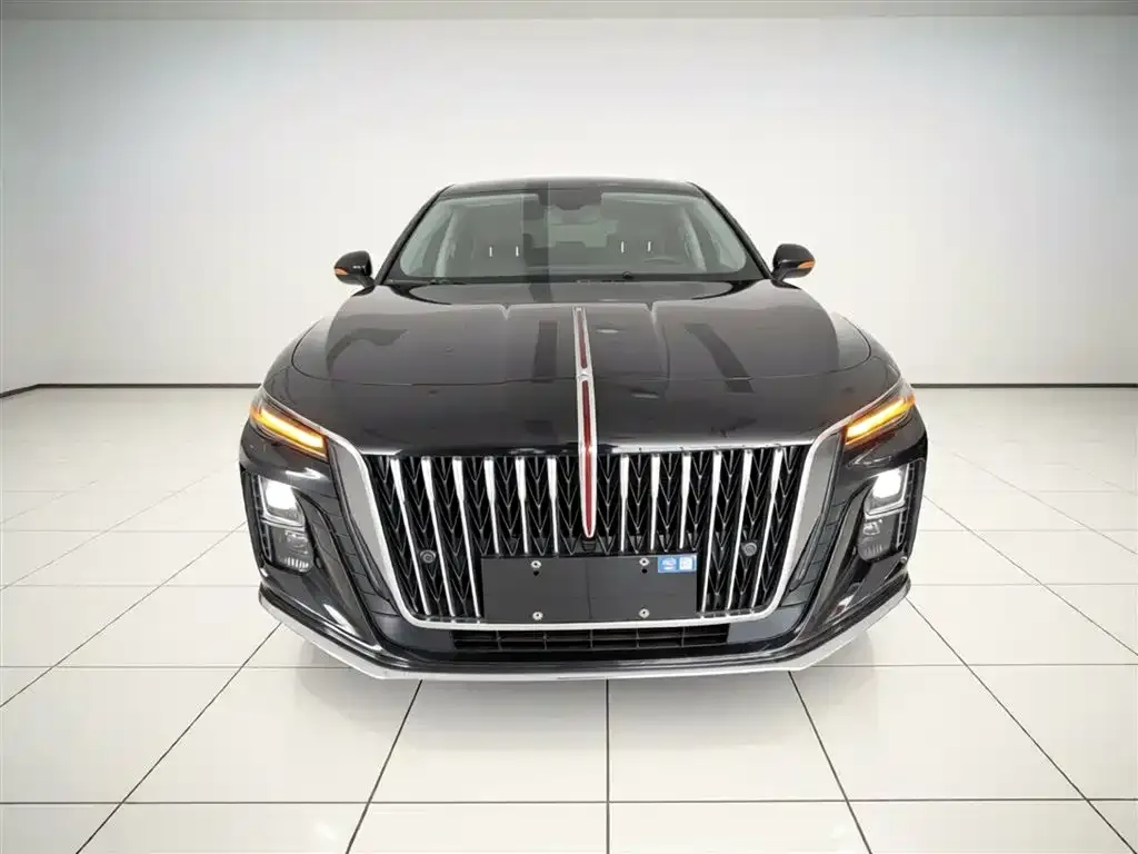 Hongqi H5 2024 из CN, фото 5