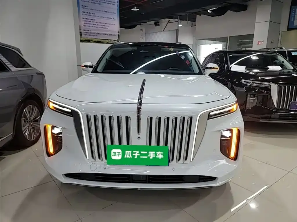 Hongqi E-HS9 — фото 6