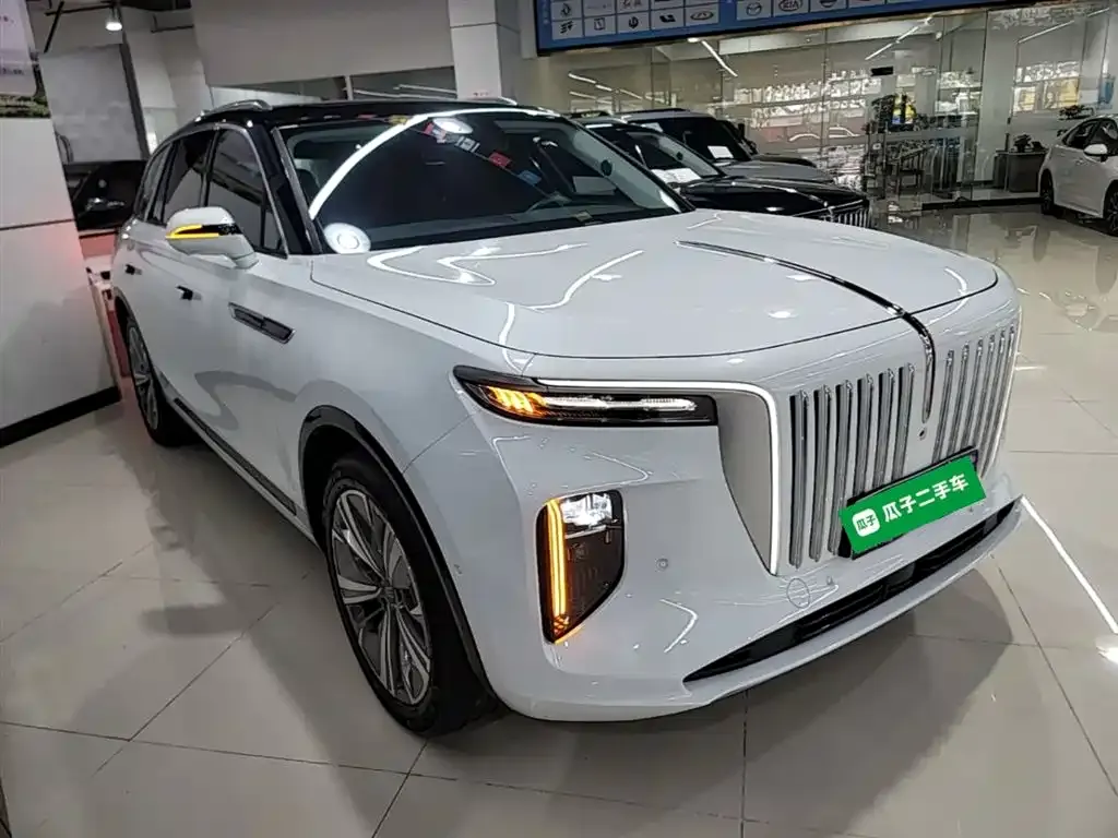 Hongqi E-HS9 — фото 4