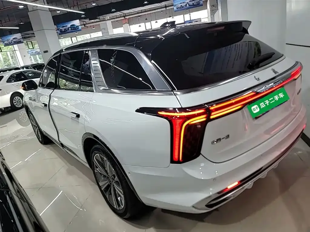 Hongqi E-HS9 — фото 10