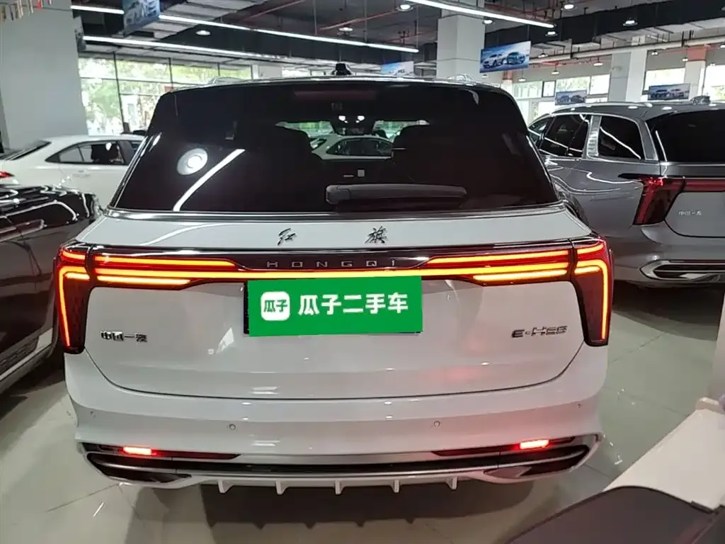 Hongqi E-HS9 — фото 9