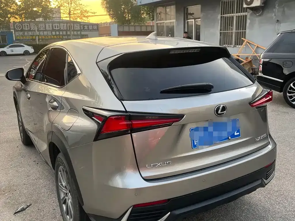 Lexus NX 2021 из CN, фото 4