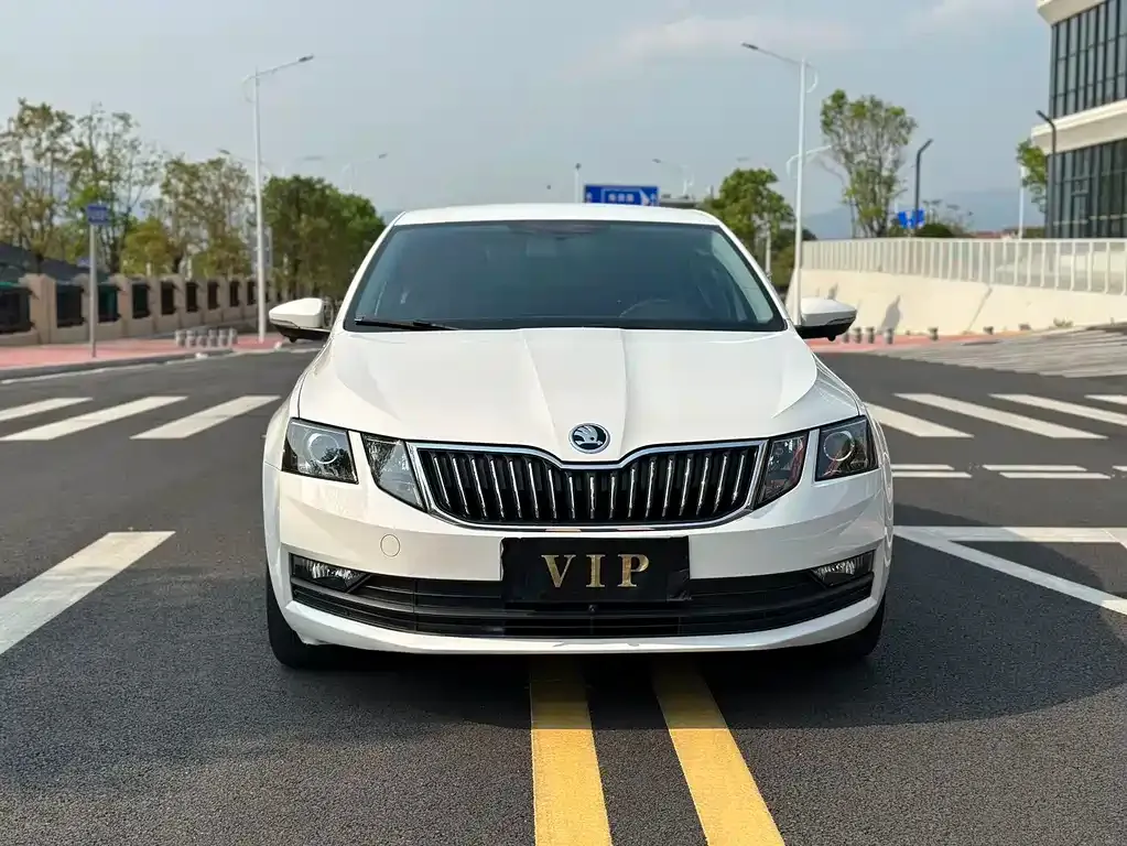 Skoda Octavia 2022 из CN, фото 6