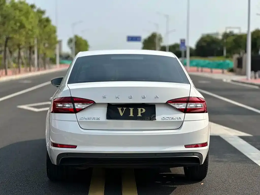 Skoda Octavia 2022 из CN, фото 4