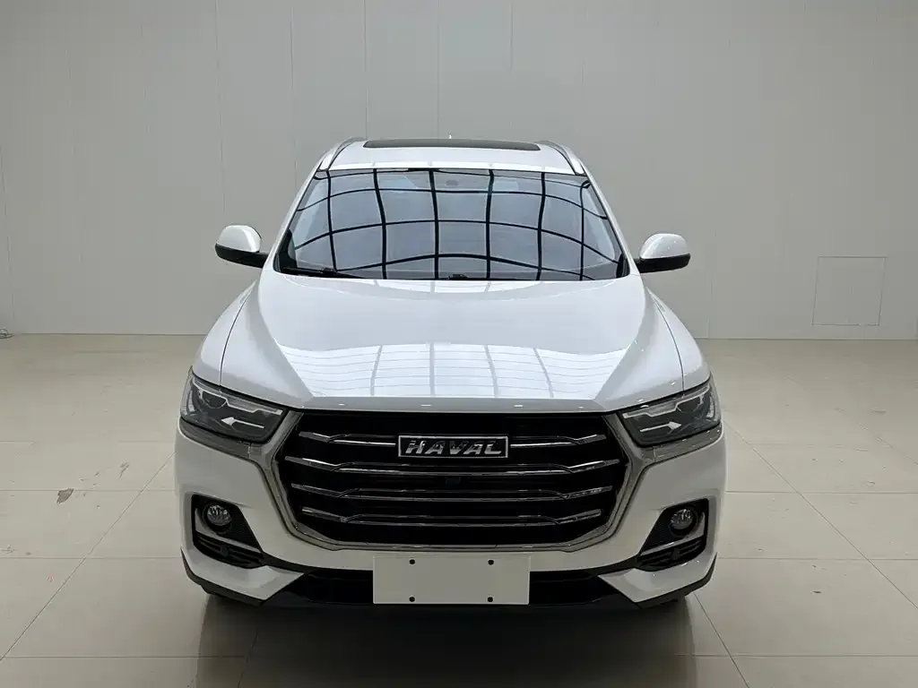 Haval H6 2021 из CN, фото 2