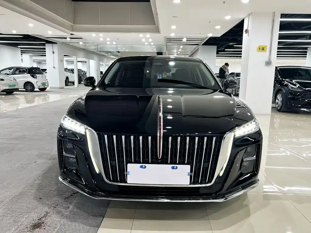 Hongqi H5 2024 из CN, фото 8
