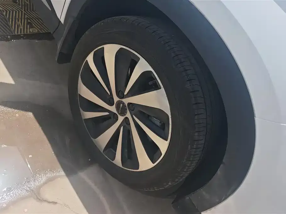 BYD PLUS New Energy — фото 2
