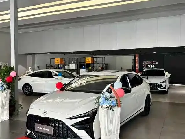 MG 6