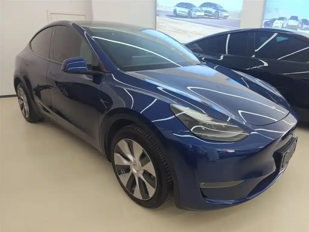 Tesla Model Y — фото 6