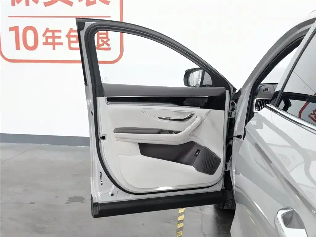 BYD PLUS New Energy — фото 4