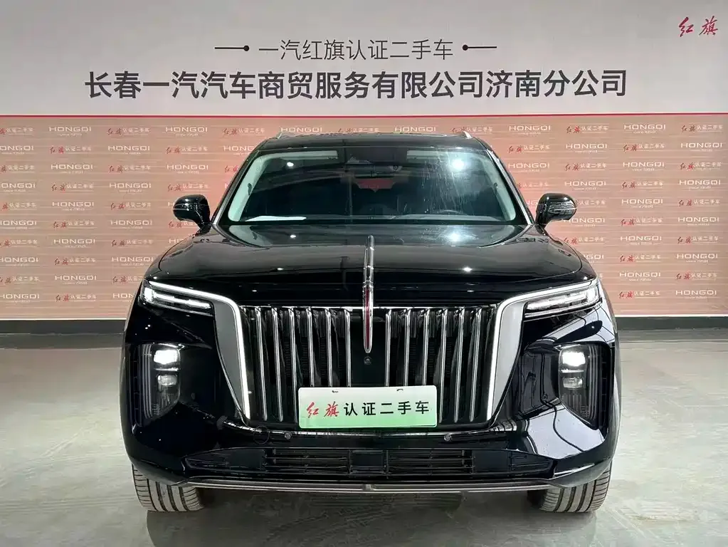 Hongqi E-HS9 — фото 10