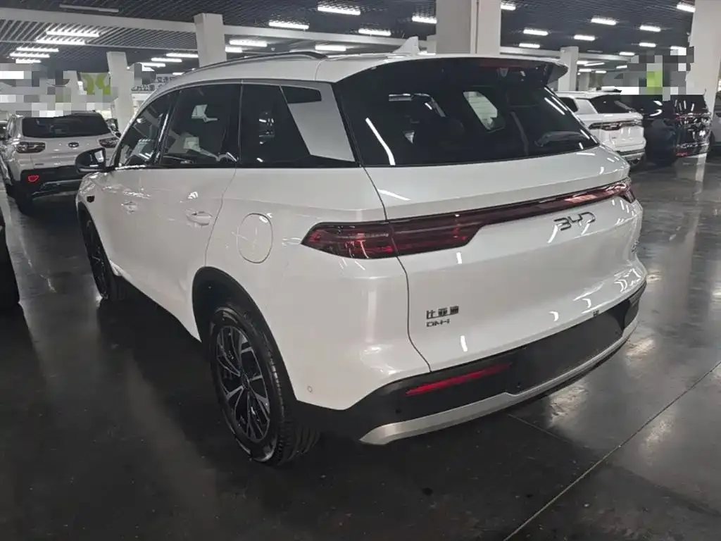 BYD Pro New Energy — фото 6