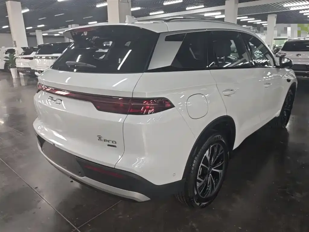 BYD Pro New Energy — фото 4