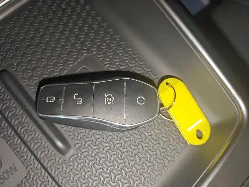 BYD Pro New Energy — фото 8