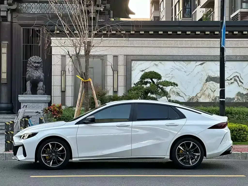 GAC Motor Shadow Leopard — фото 6