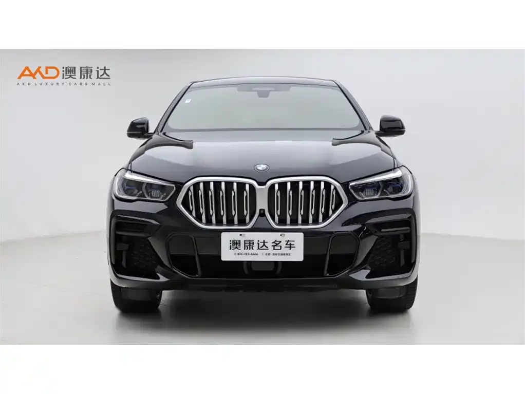 BMW X6 2021 из CN, фото 7