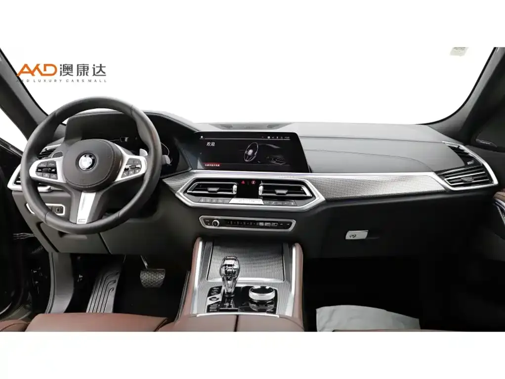 BMW X6 2021 из CN, фото 9