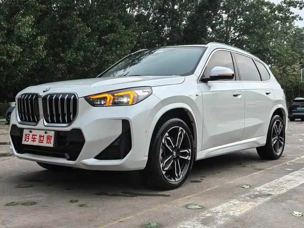 BMW X1 — фото 1