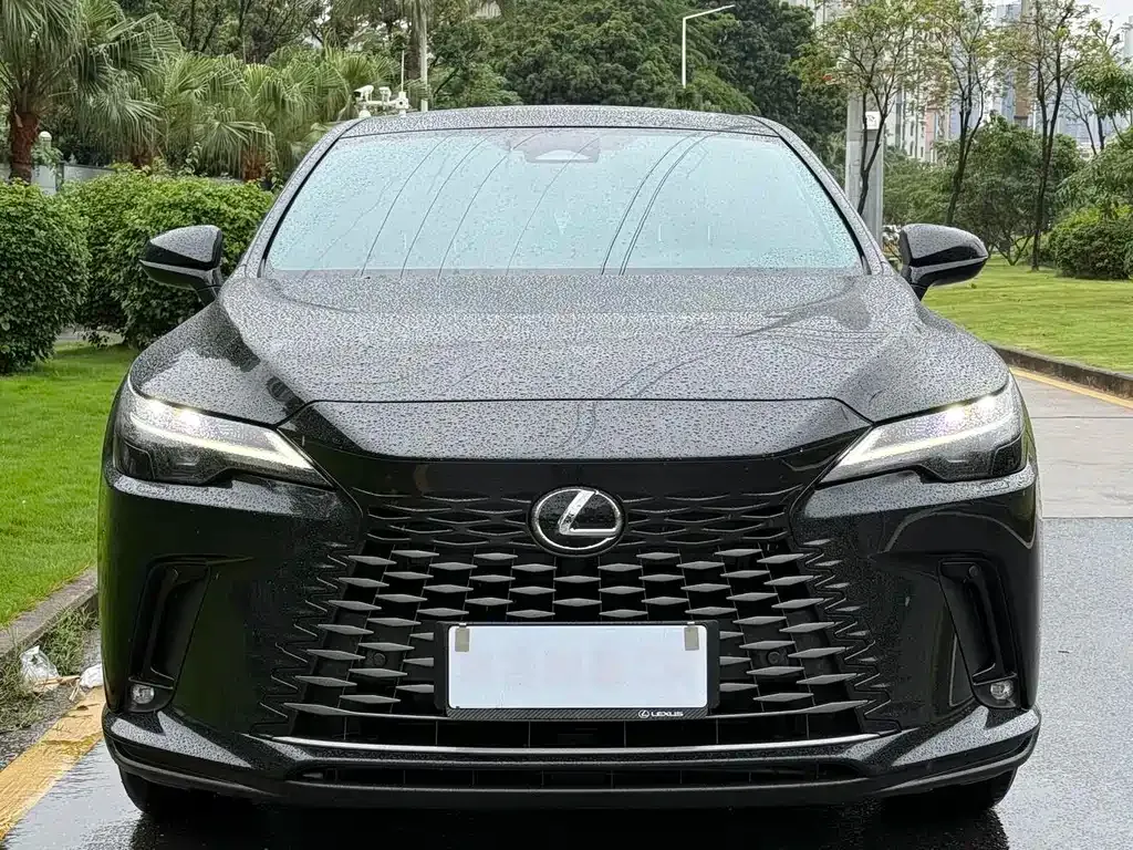 Lexus RX — фото 10