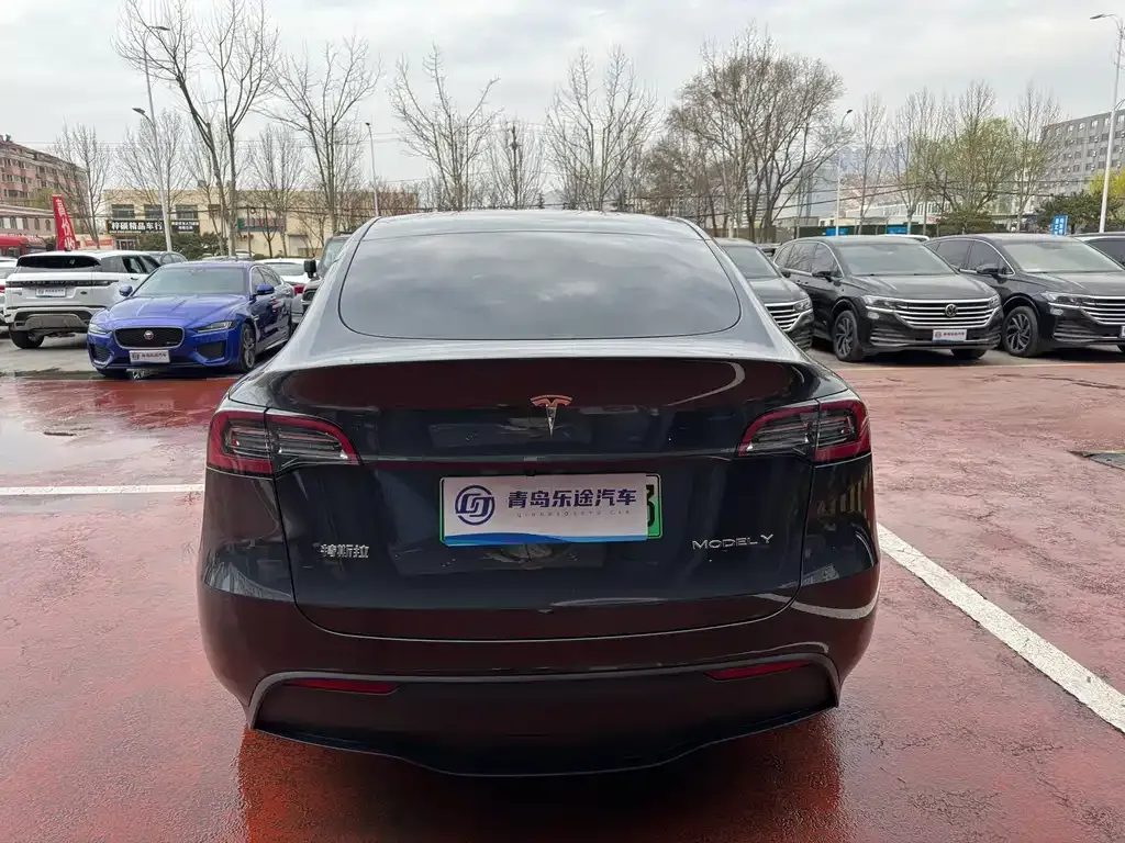 Tesla Model Y — фото 2