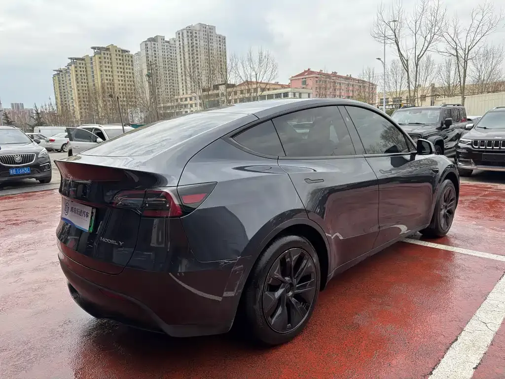 Tesla Model Y — фото 10