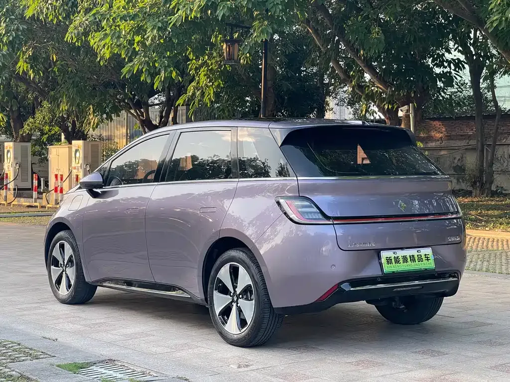 Baojun Yunduo 2023 из CN, фото 10