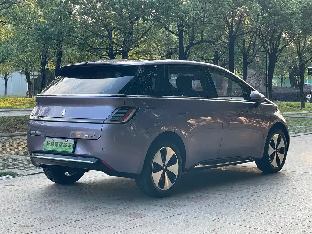 Baojun Yunduo 2023 из CN, фото 5