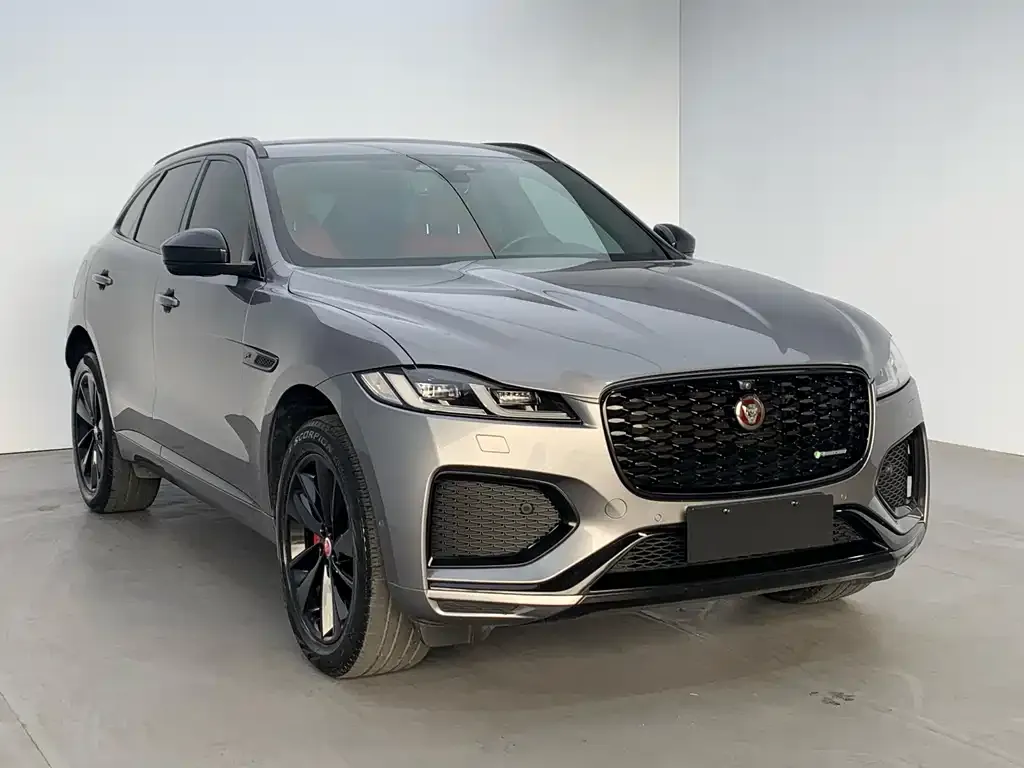 Jaguar F-PACE — фото 9