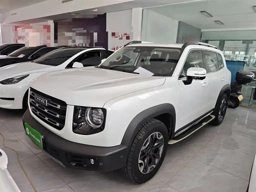 Haval Big Dog 2021 из CN, фото 5