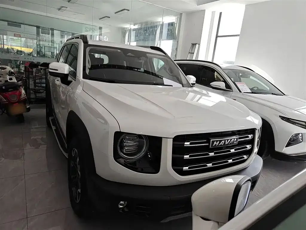 Haval Big Dog 2021 из CN, фото 10