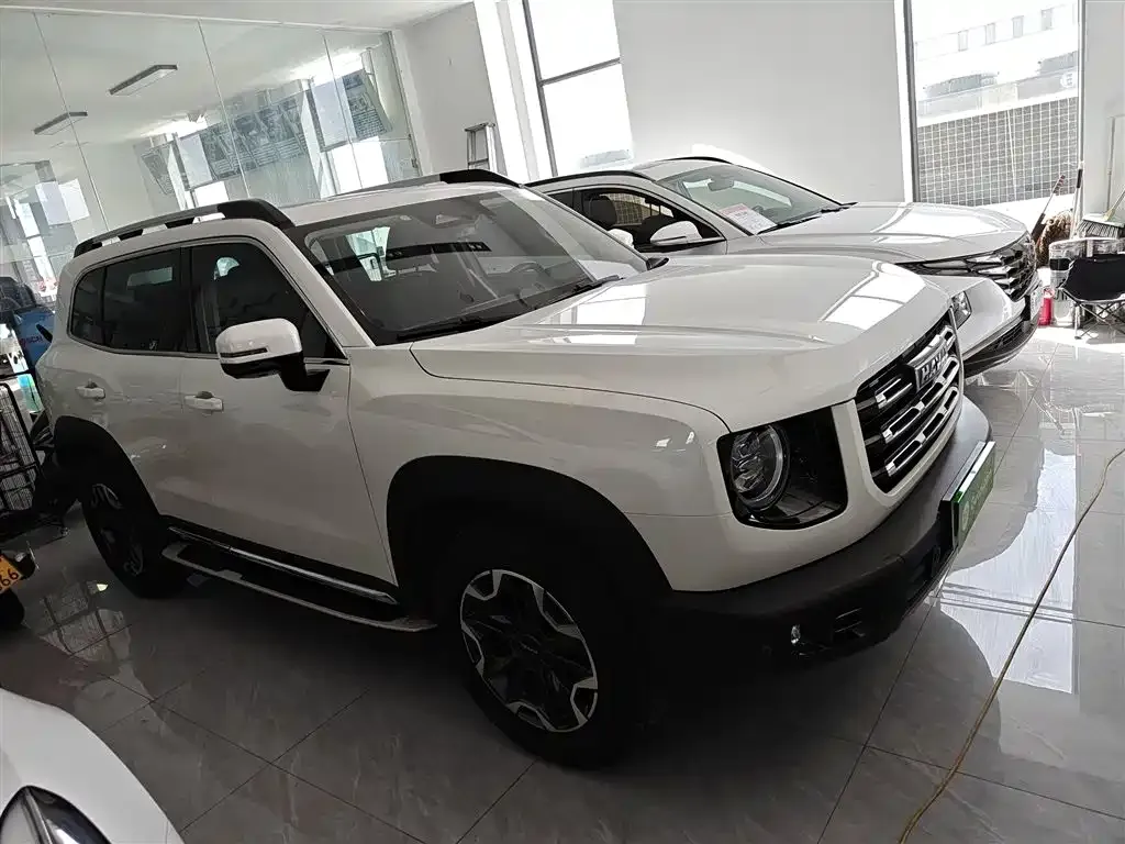 Haval Big Dog 2021 из CN, фото 9
