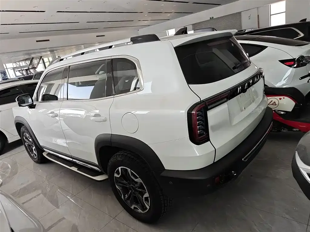 Haval Big Dog 2021 из CN, фото 6