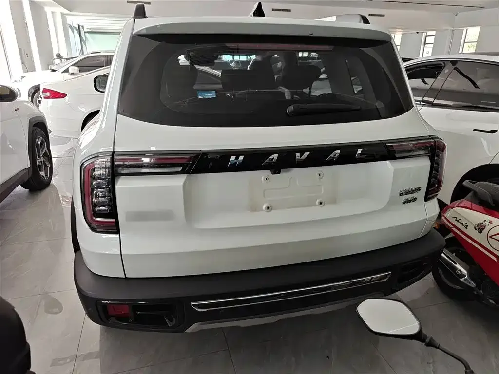 Haval Big Dog 2021 из CN, фото 2