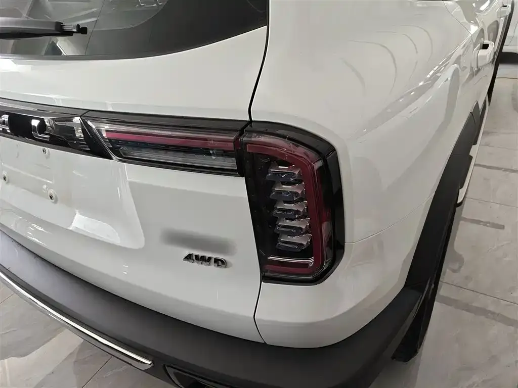 Haval Big Dog 2021 из CN, фото 3