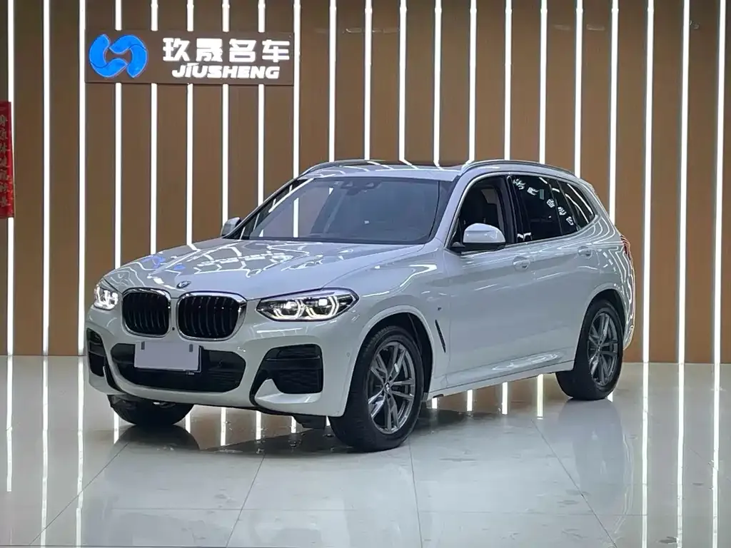 BMW X3 — фото 1