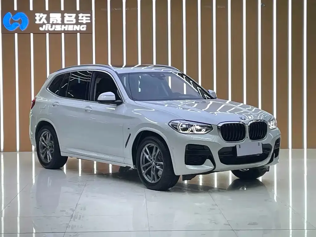 BMW X3 — фото 8
