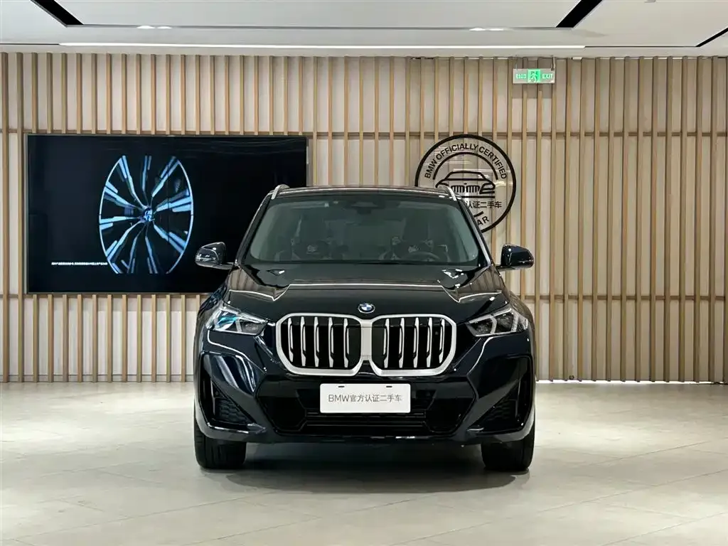 BMW X1 — фото 8