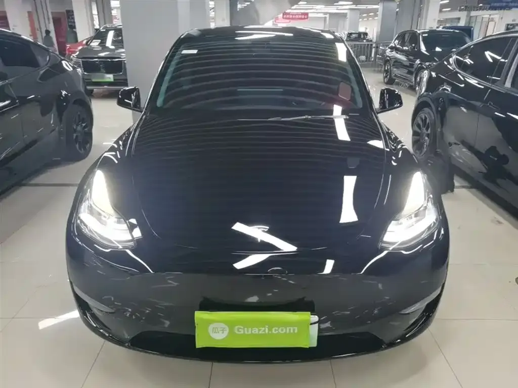 Tesla Model Y — фото 2
