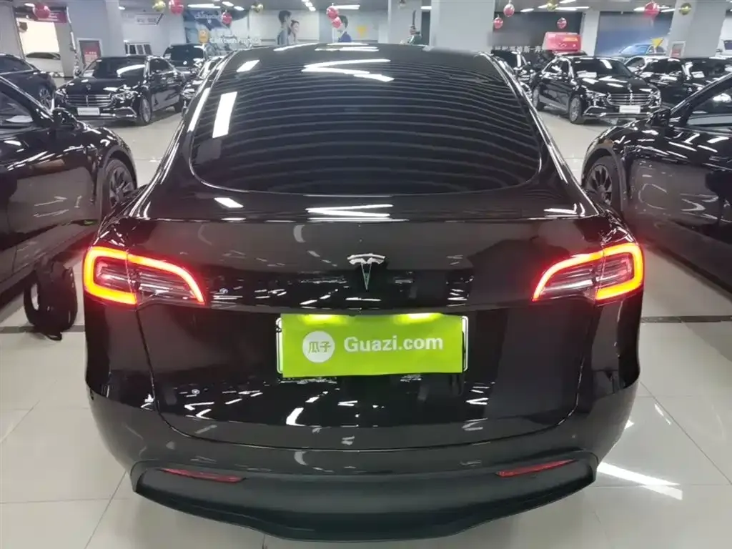 Tesla Model Y — фото 10