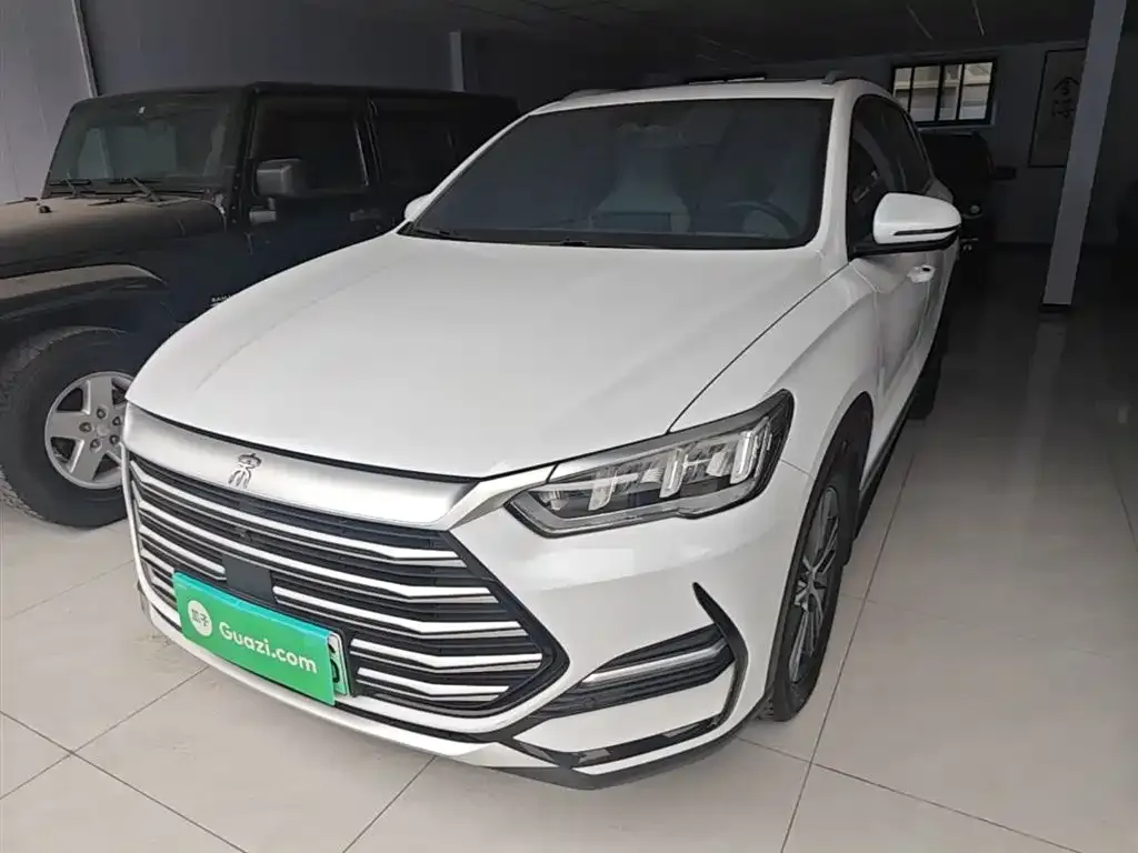 BYD Pro New Energy — фото 1