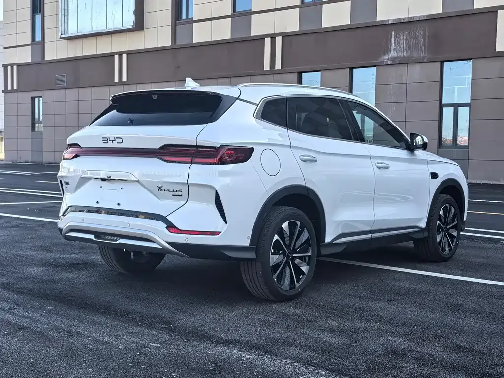 BYD PLUS New Energy — фото 10